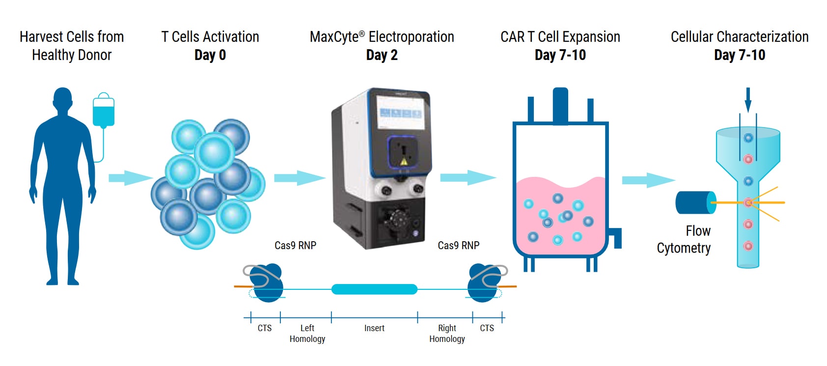 maxcyte-enables-a-cgmp-compatible-manufacturing-process-for-highly-efficient-t-cell-engineering-fig-1-min