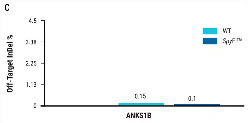 ANKS1B