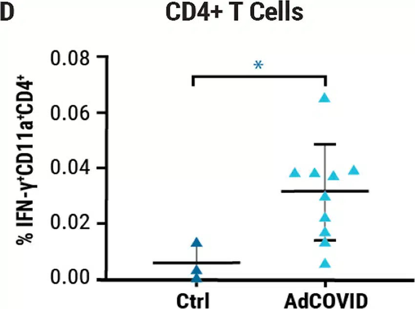 AdCovid-d