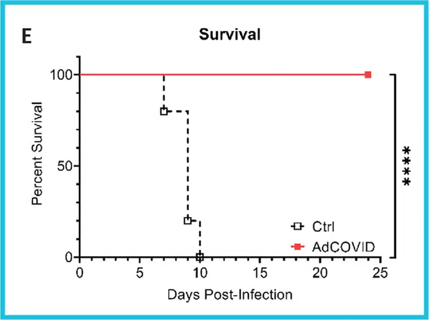 AdCovid-e