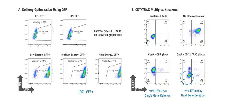 Multiplex-CRISPR-mediated-Gene-Editing-Towards-the-Creation-of-a-Universal-CAR-T-Cell@2x