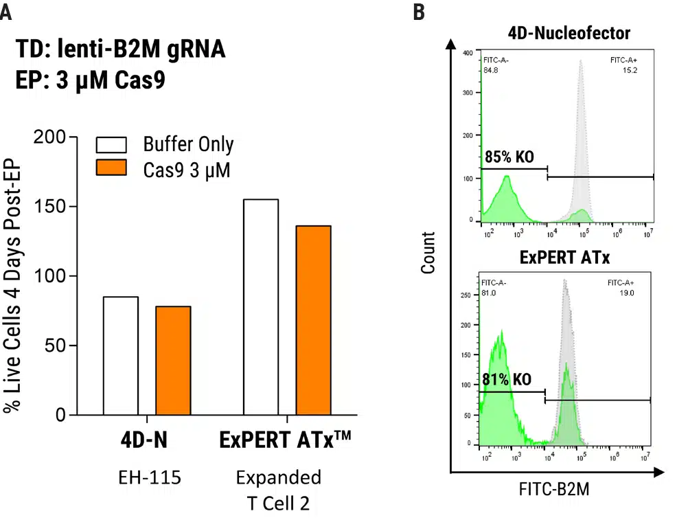 SB-A-Fully-Optimized-figure-1