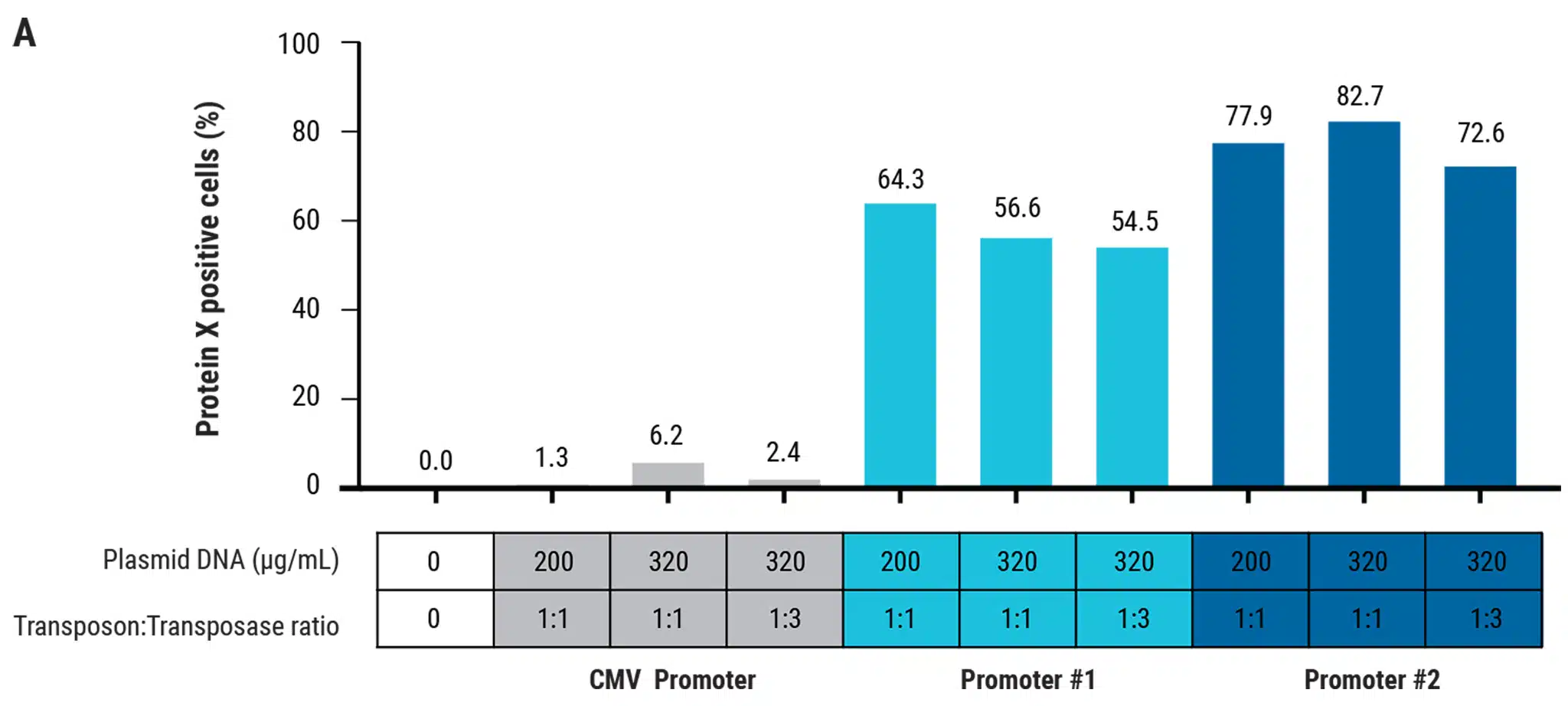 Transgen-Expression-A@2x
