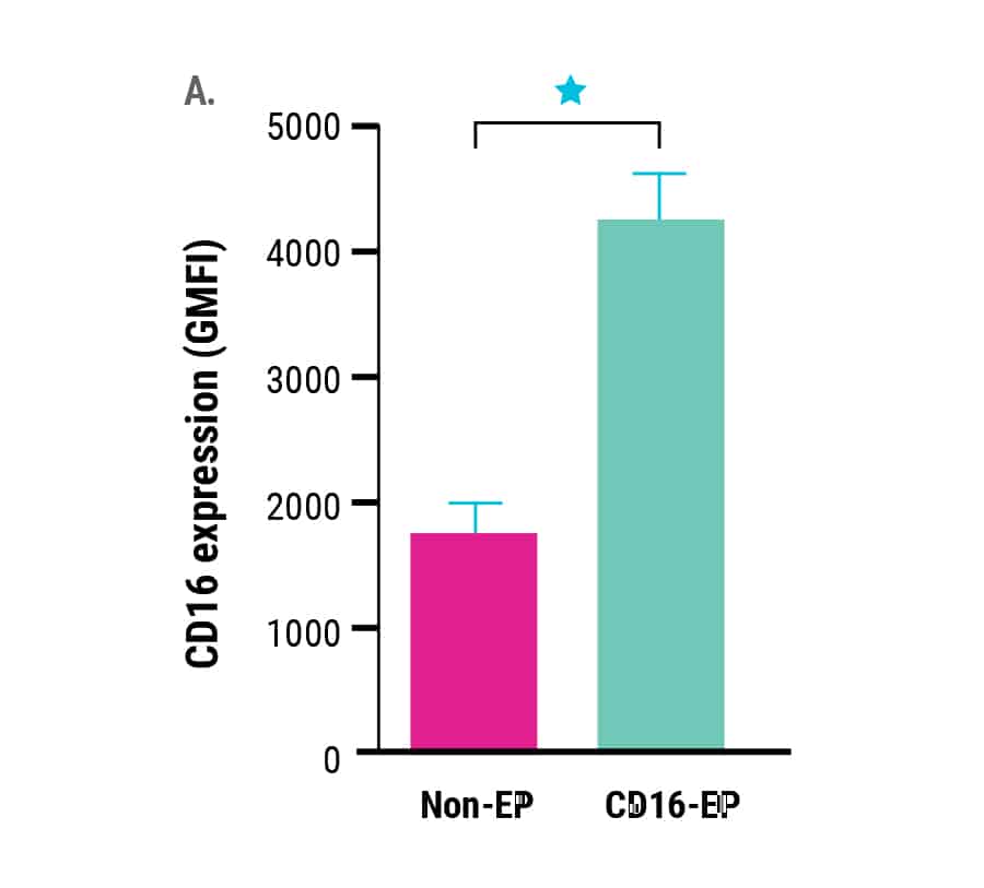 CD16(GMFI)@2x