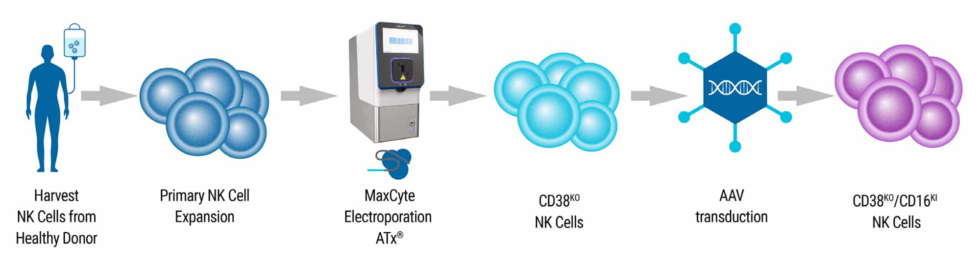 Multiplexed-NK-Cell-Engineering@2x