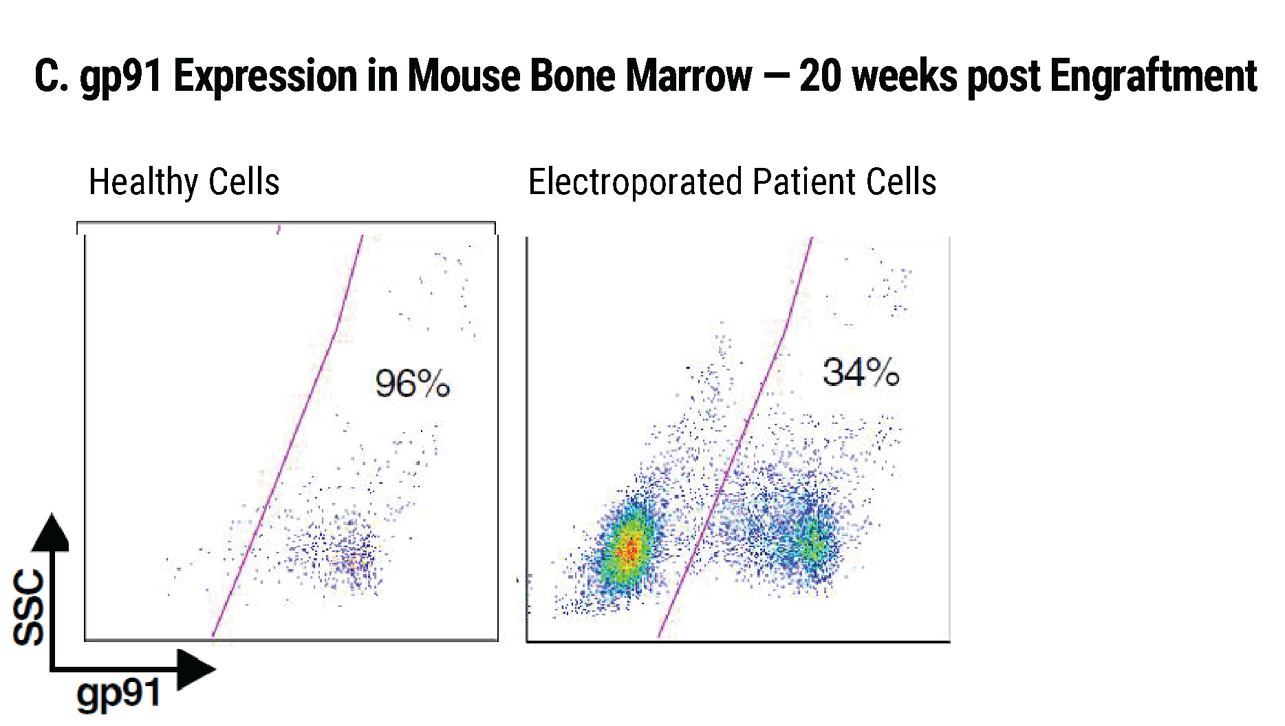 ex-vivo gene correction-01