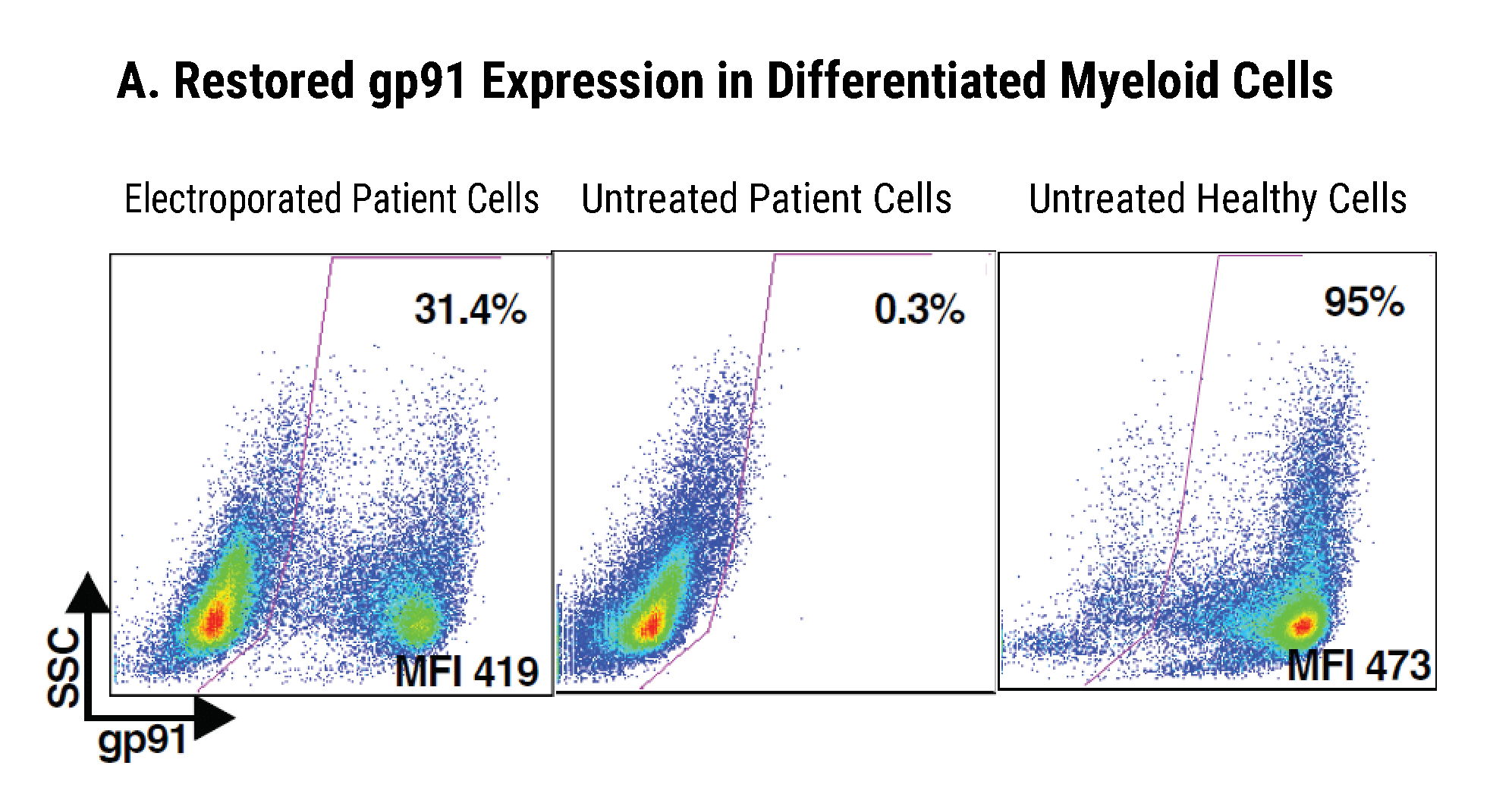 ex-vivo gene correction-A