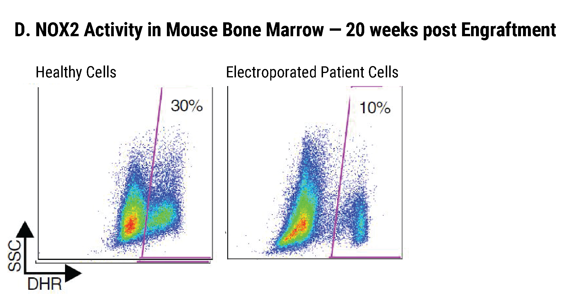 ex-vivo gene correction-03