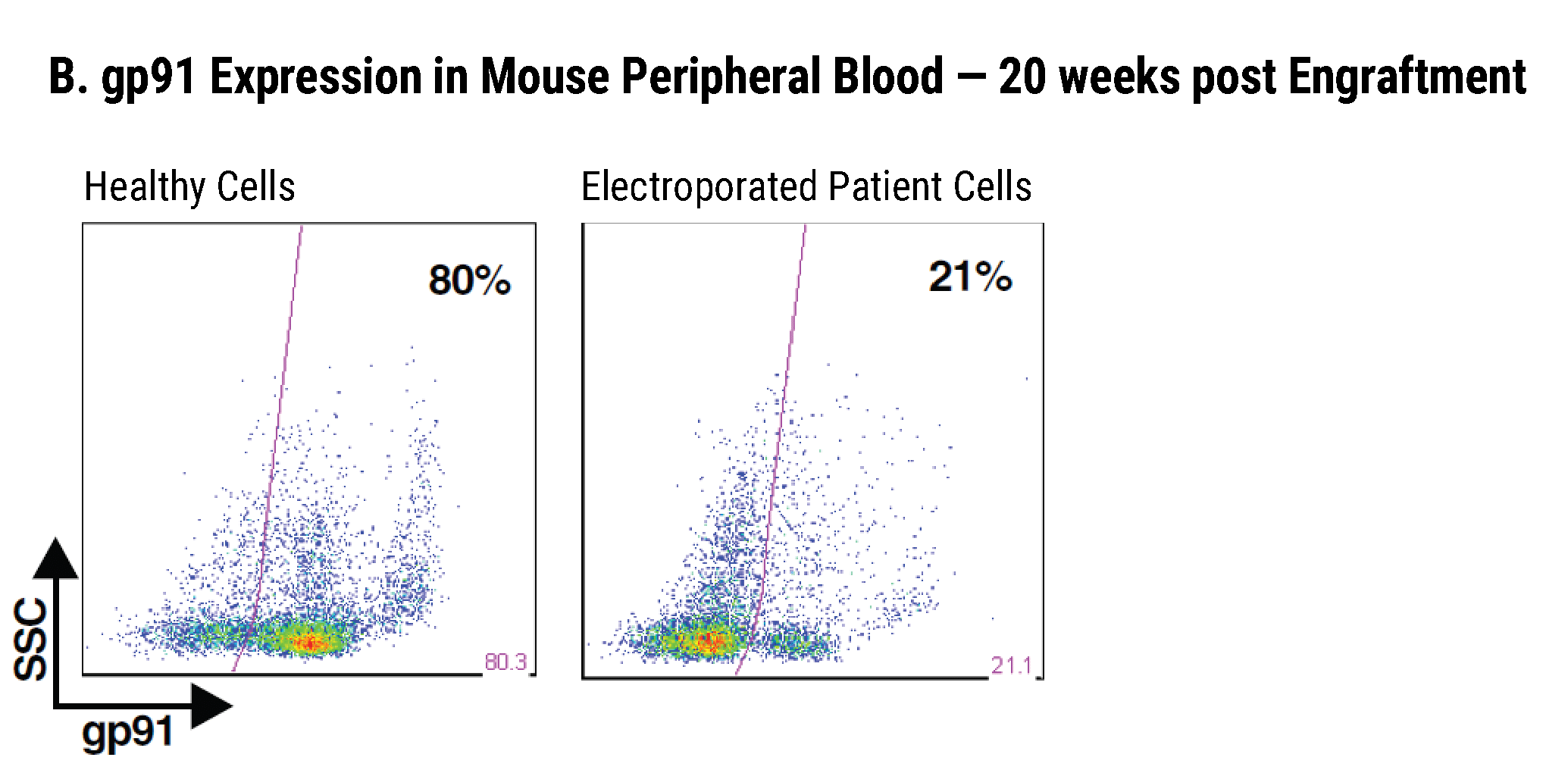 ex-vivo gene correction-04