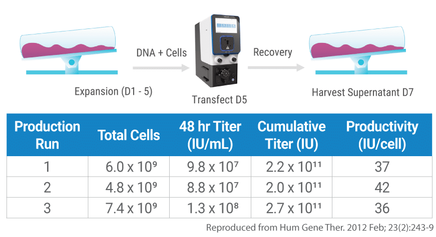 Table and image Consistent-lentivirus-titres-following-four-plasmid-HEK2-3