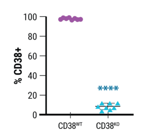 CAP-graphs-09