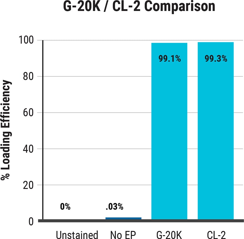 G-20K_CL-2_V&V_Efficiency_Data@2x