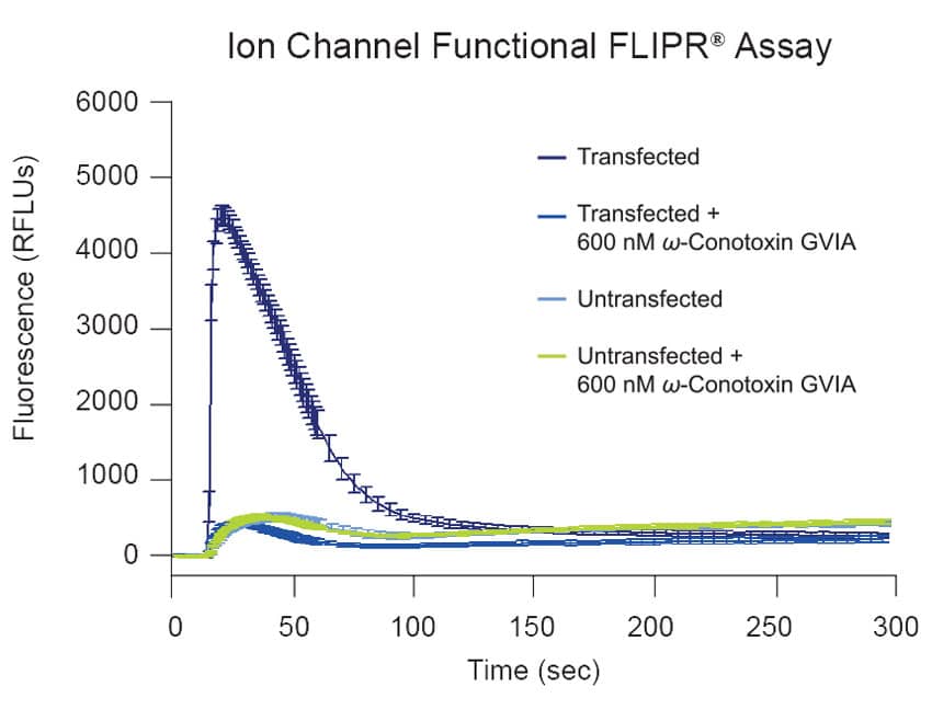 Ion-channel-function