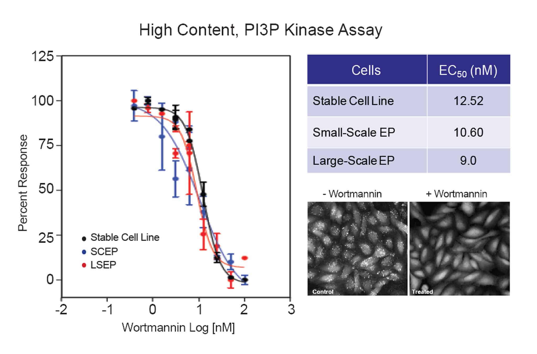 PI3P-Kinase-Assay