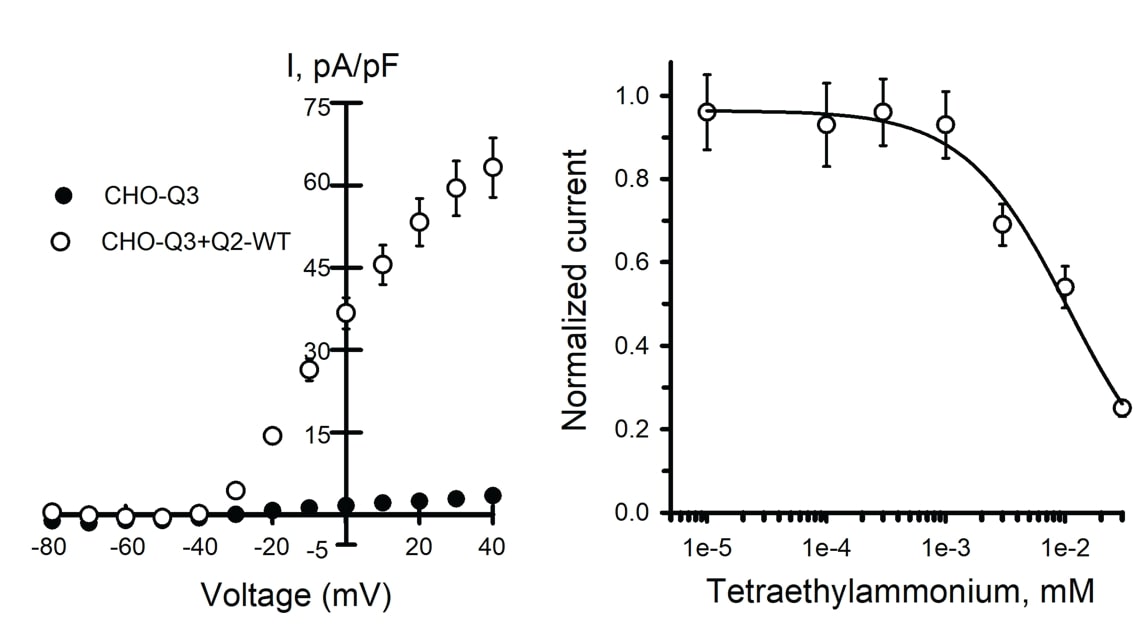 Figure-1-Analysis of Q2Q3 WT ion channels by automated patch clamp
