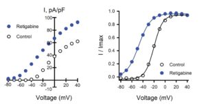Two plots showing performance in HEK cells transfected at both small and large scale