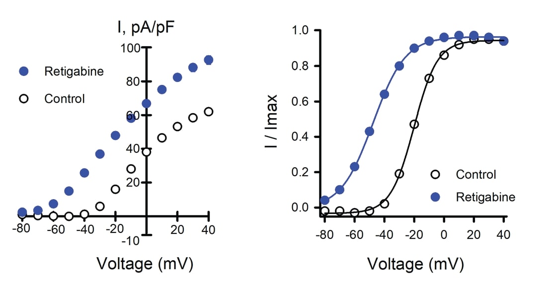 Figure-2-Effects of retigabine on WT Q2Q3 ion channel