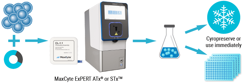 SB-23271-incubator cell based assay