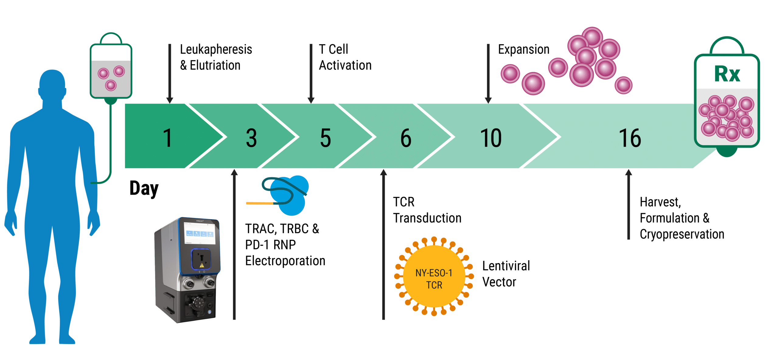 Innovations in Electroporation CBTA-23256