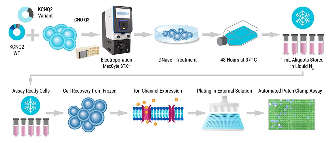 Plating-and-Analysis