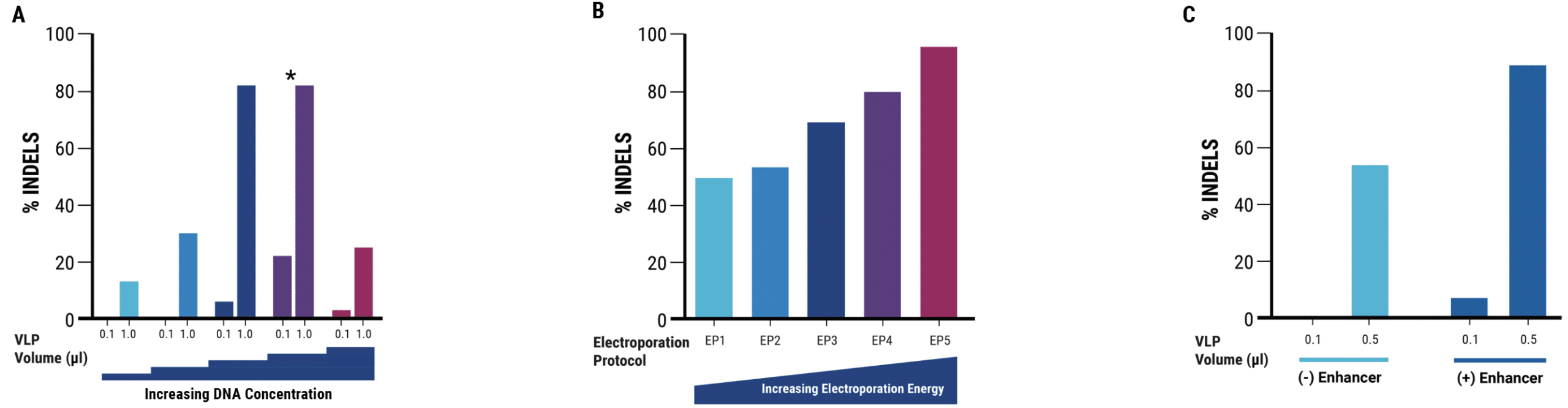 An Optimized Electroporation Workflow Yields High VLP Editing Activity in Adherent HEK293 Cells