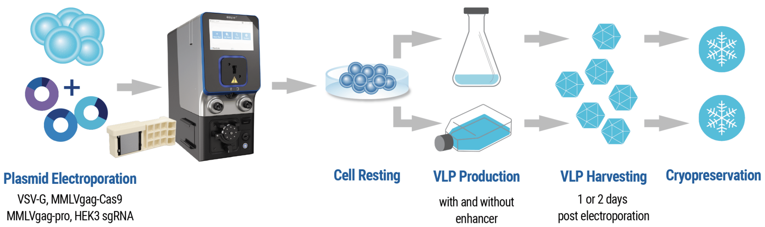 VLP Manufacturing Workflow Flow illustration