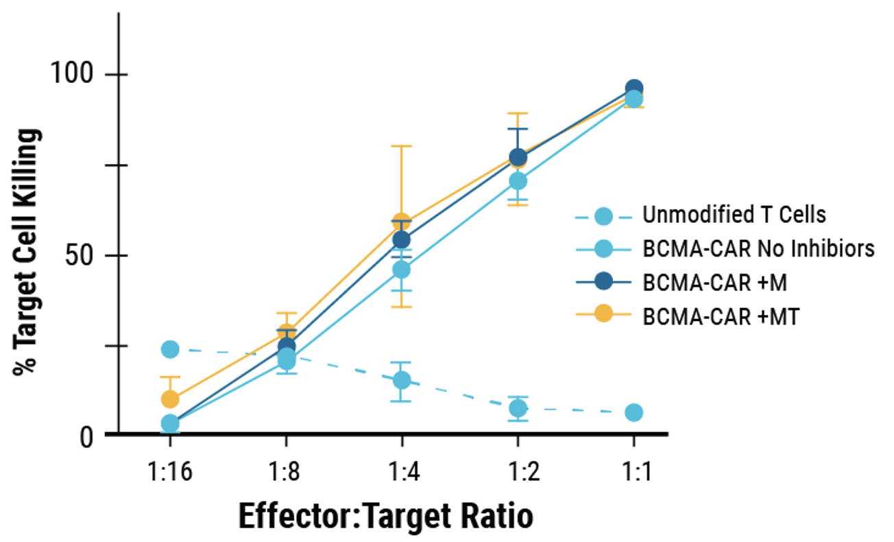 CRISPR RNP and ssDNA Co-Electroporation in Activated T Cells for Efficient CAR Knock-In E