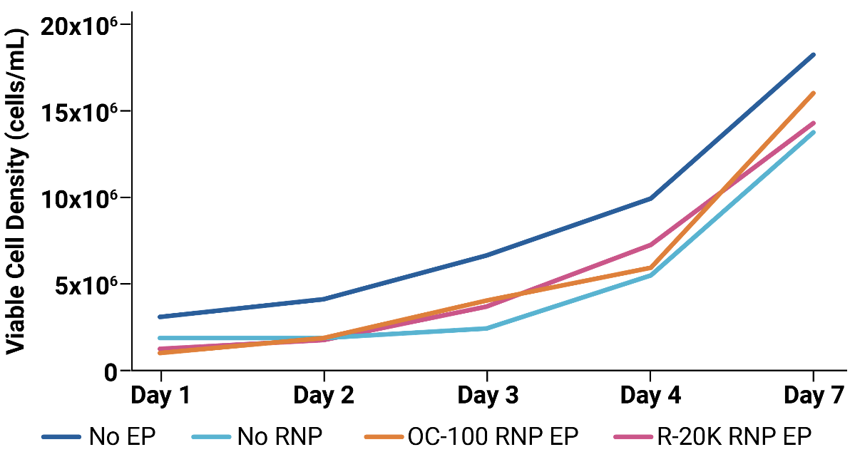 Viable cell density was measured on days 1, 2, 3, 4 and 7 post electroporation