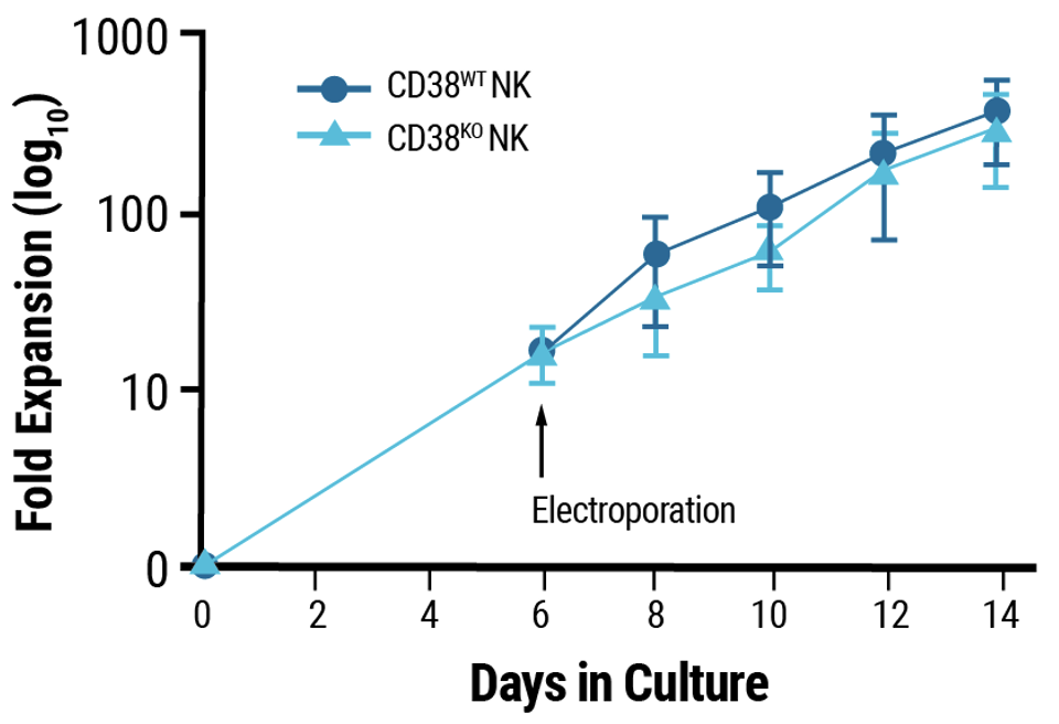 MaxCyte and Synthego Enable Reproducible Cell Engineering of Primary Human NK Cells A