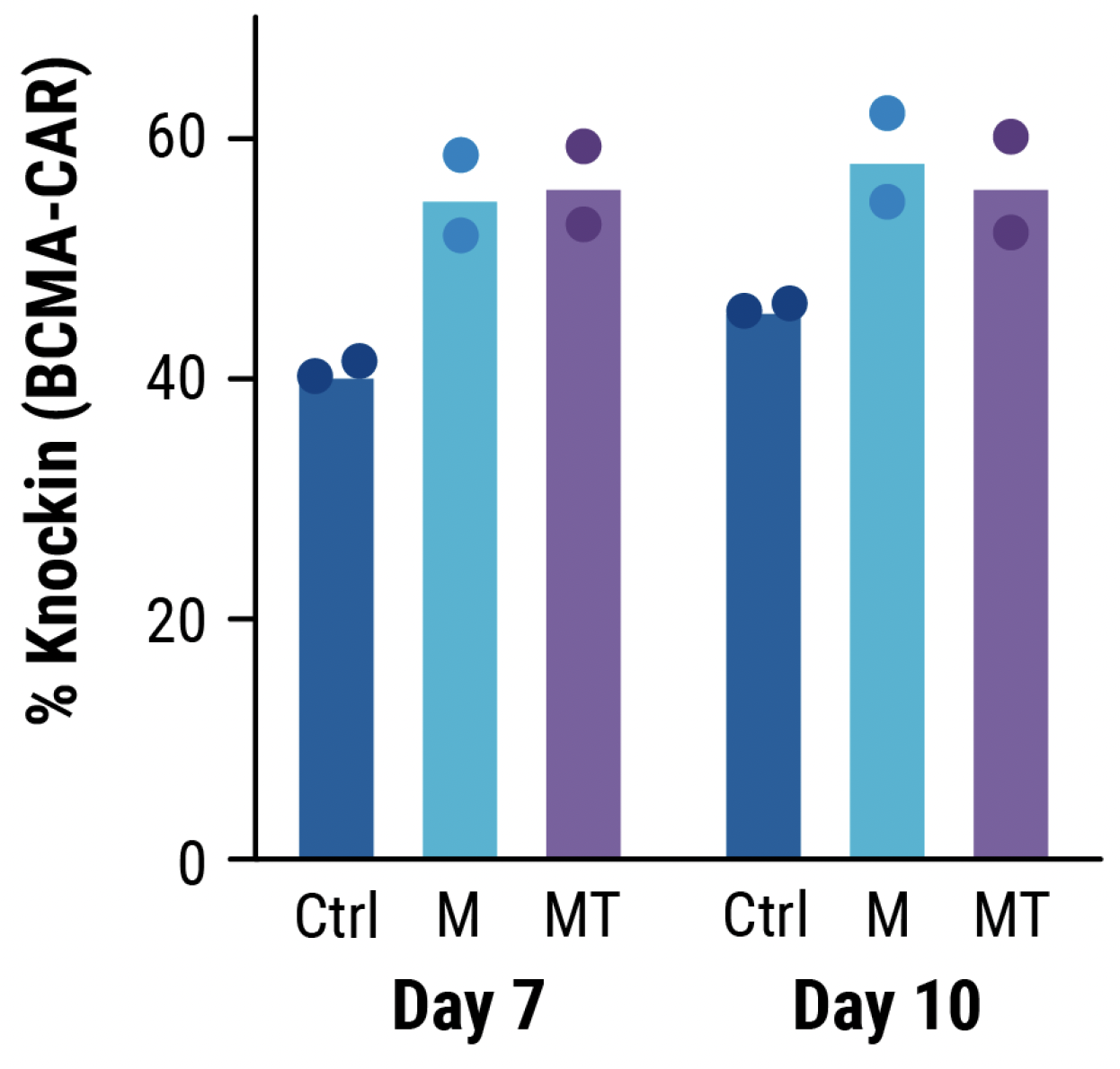 CRISPR RNP and ssDNA Co-Electroporation in Activated T Cells for Efficient CAR Knock-In B