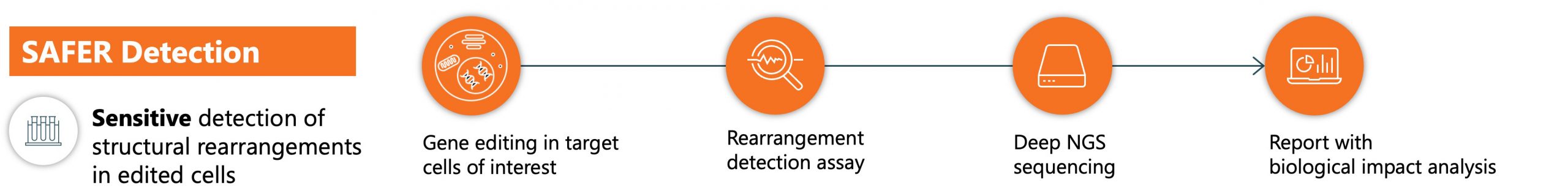 SDX-SAFER Detection Overview SDX-SAFER Detection Overview