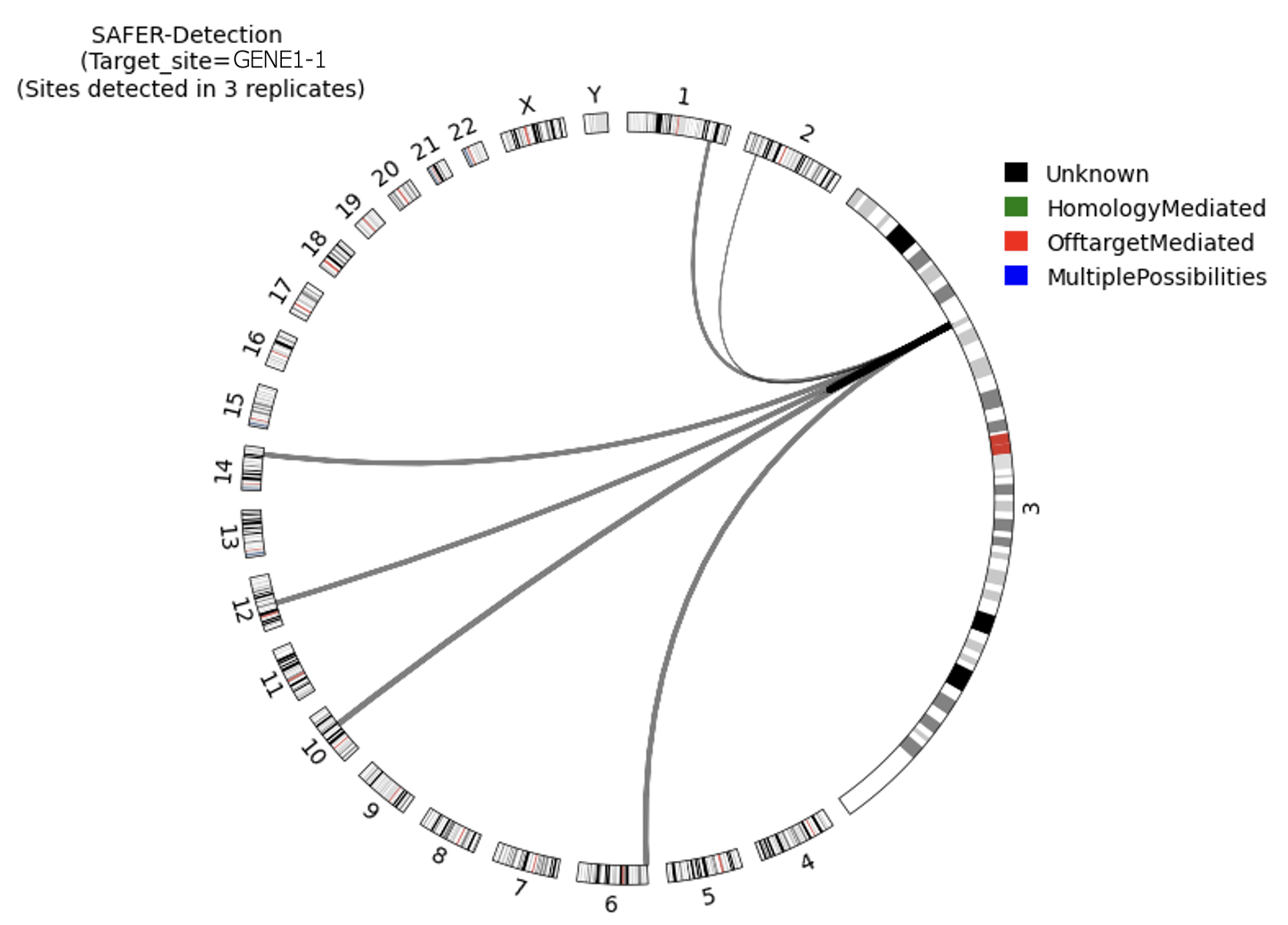 Circos plot showing rearrangements involving GENE1-1 that were detected in 3/3 replicates. The target chromosome is expanded to facilitate visualization of intra-chromosomal rearrangements. The weight of the lines indicating rearrangements are proportional to log10 of the average total UMI read counts.