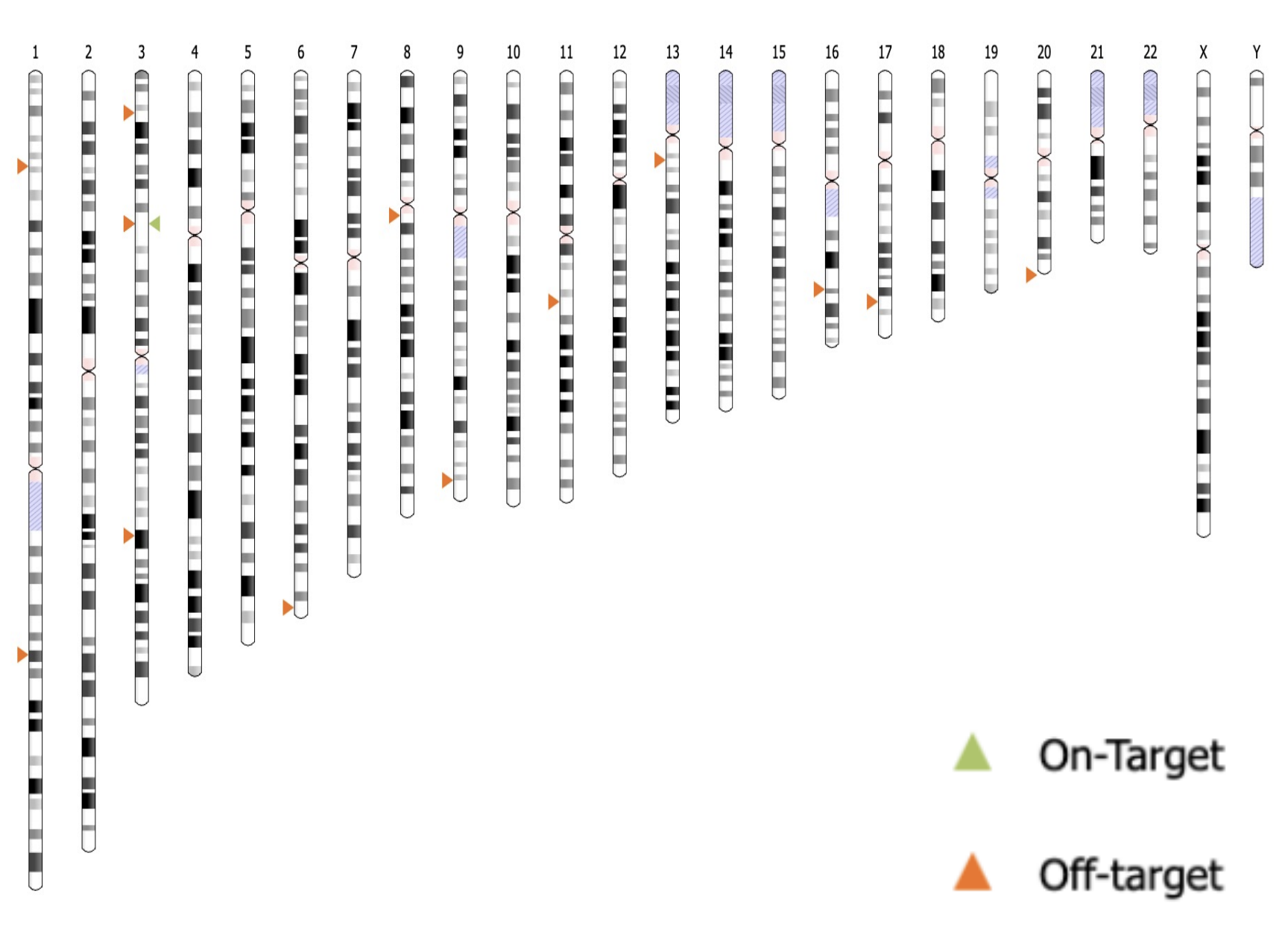 Ideogram of potential breakpoints caused by off-target editing in genome.