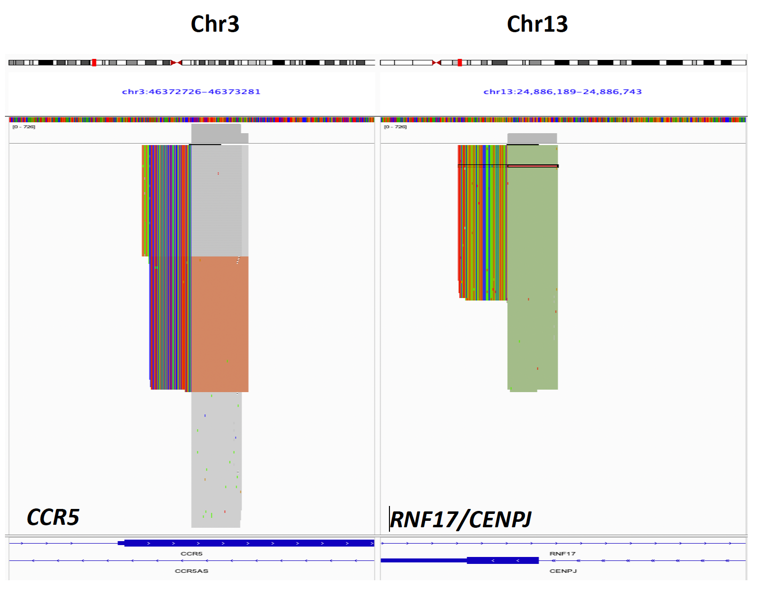 IGV plots illustrate paired read distribution at CCR5/Chr3 and RNF17/Chr13.