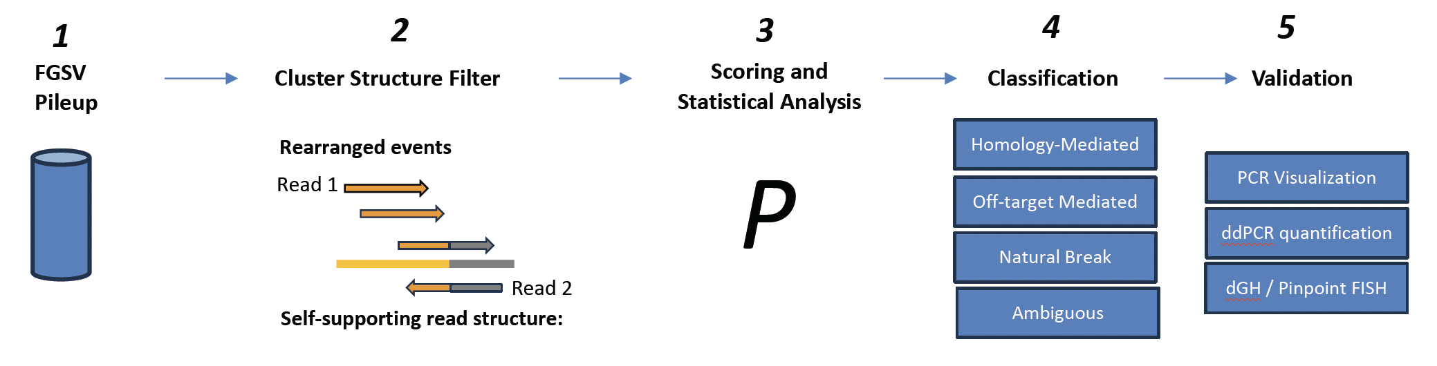 5 step visualization of strategy for rearrangement event nomination.