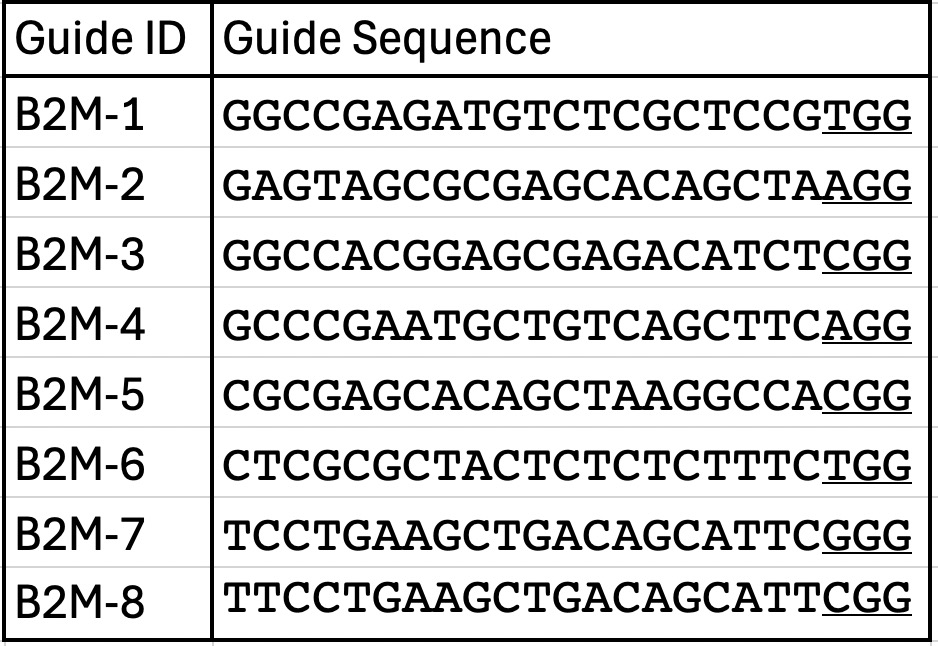 A two-column table featuring guide IDs for B2M-1 through BTM-8 and their corresponding RNA sequences.