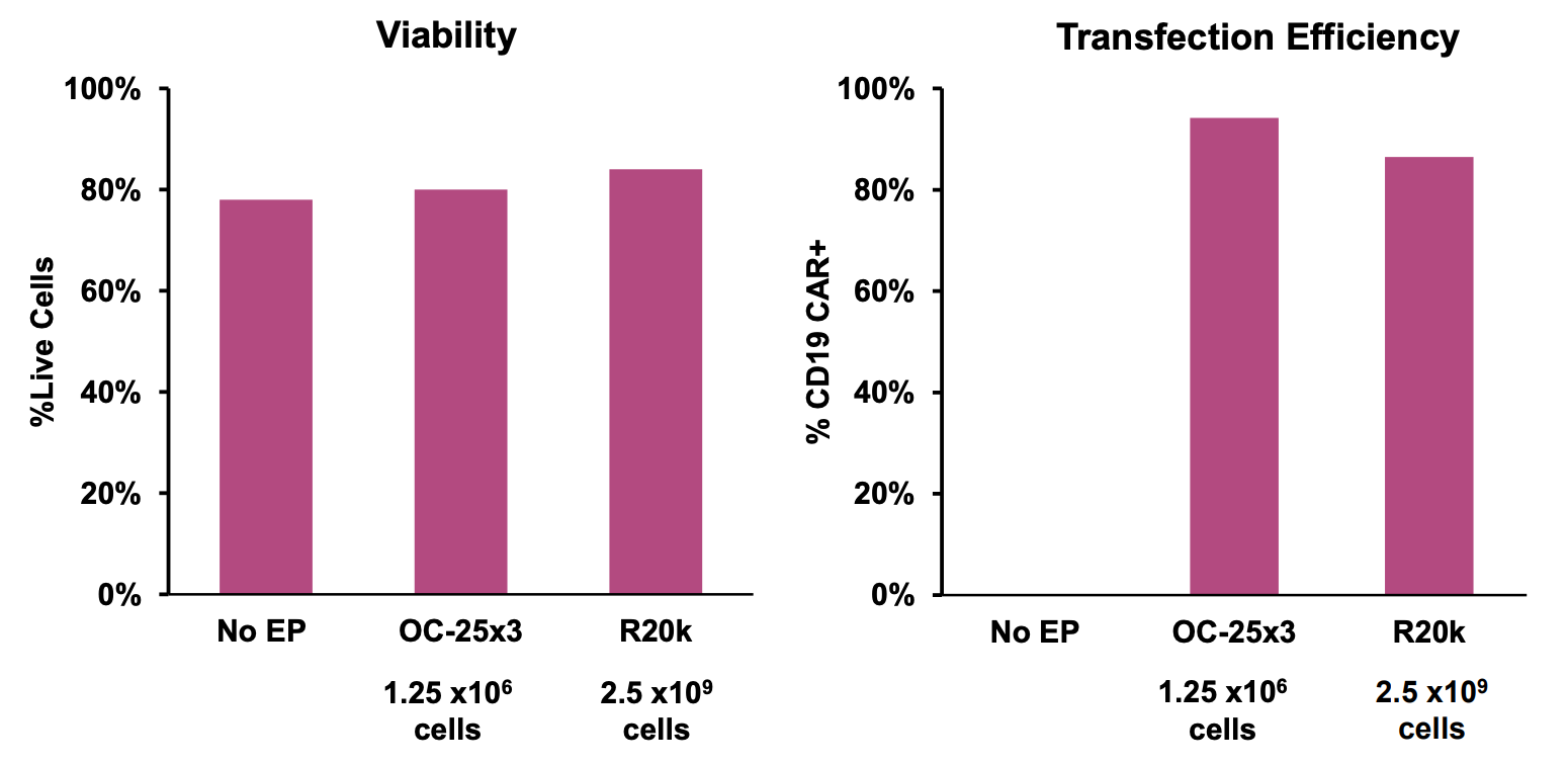 Two pink bar graphs: Left shows about equal viability (~80% or higher) with no electroporation, small-scale static processing assembly and large-scale flow processing assembly. Right graph shows transfection efficiency for no electroporation (no transfection), small-scale and large-scale assemblies, with small-scale about 10% more efficient than the larger-scale but both over 80 percent.