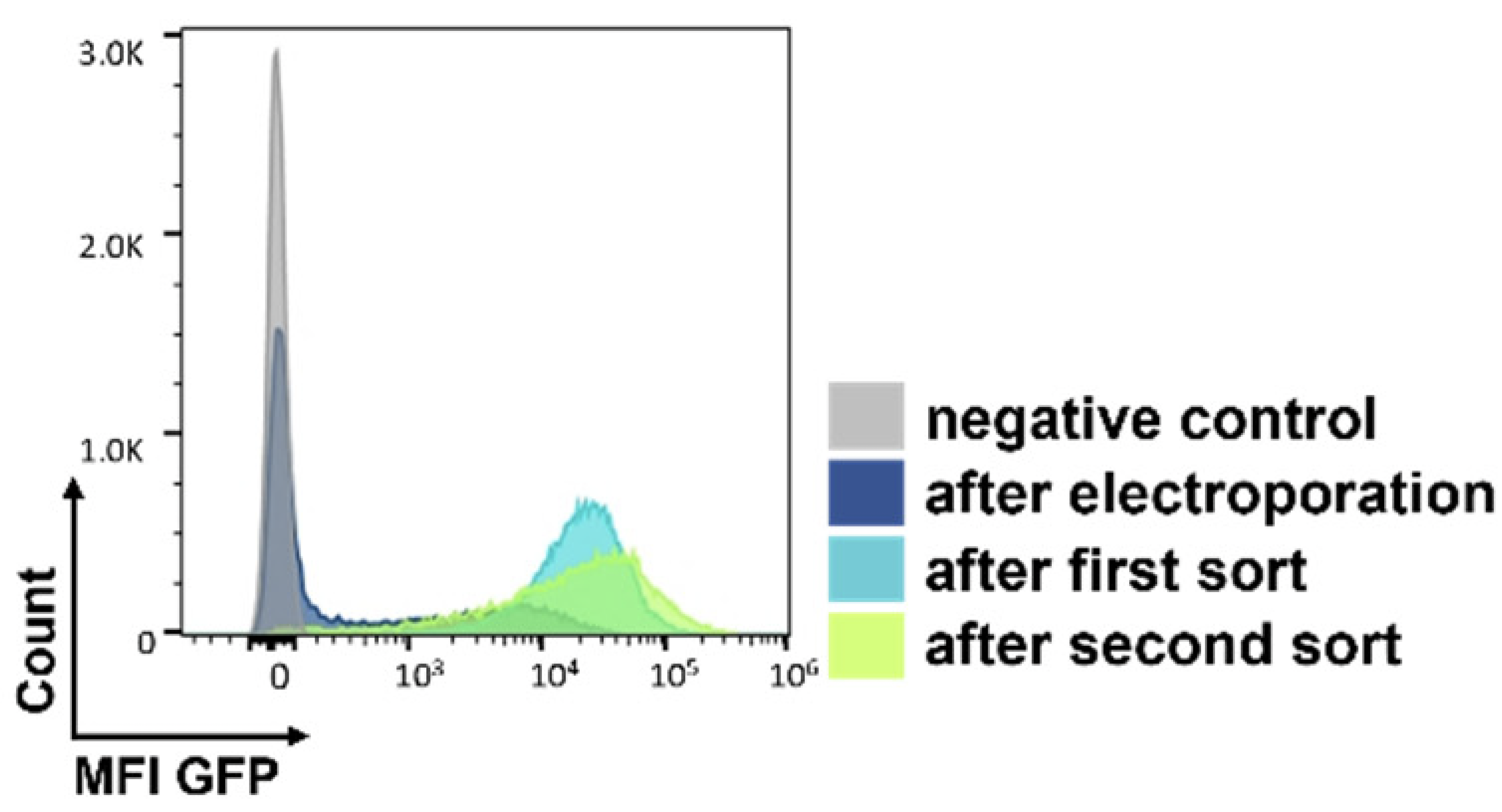 Graph showing count of cells up to 3k over MFI GFP up to 10 to the 6th power. Curves show count with negative control (gray), after electroporation (navy), after first sort (light blue), and after second sort (lime green). Two percent of clones expressing highest GFP levels isolated after two rounds of cell sorting.