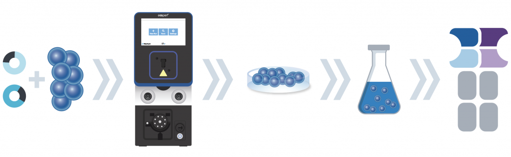 Figure 4: Illustration of MaxCyte workflow for soluble TCER expression