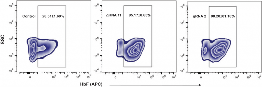 Three graphs depicting proportion of HbF-positive cells (SSC over HbF).