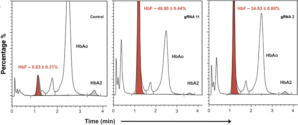Three graphs visualizing ratio of Hb variants in differentiated cells (percentage over time).