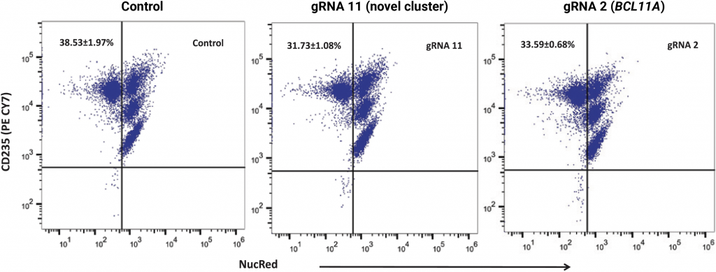 Three graphs visualizing the nucleation pattern in differentiated cells (CD235 over NucRed).