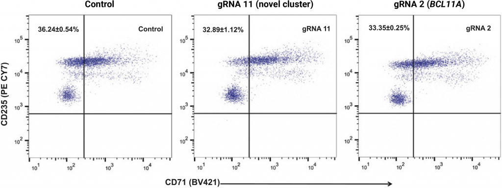 Three graphs visualizing the epression of erythroid maturation markers (CD235a and CD71).