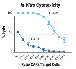 Plot graph: TranspoCART cells from patients showed in vitro cytotoxicity against a CAR target-expressing cell line.
