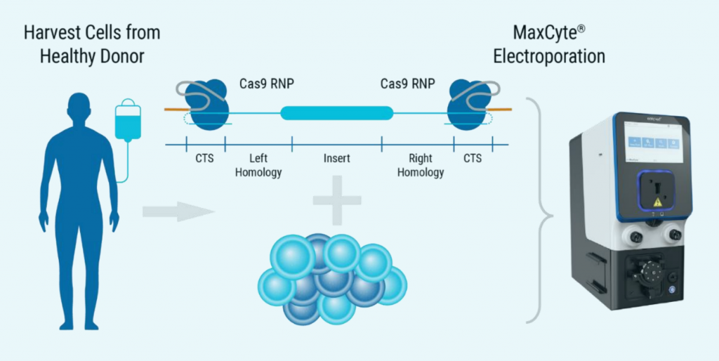 The left of the illustration shows an image of a human figure and IV bag to represent harvest cells from healthy donor and the right shows an image of the ExPERT GTx®. Between them is a depiction of CRISPR RNP + ssCTS template being delivered to the TRAC locus of activated T cells.