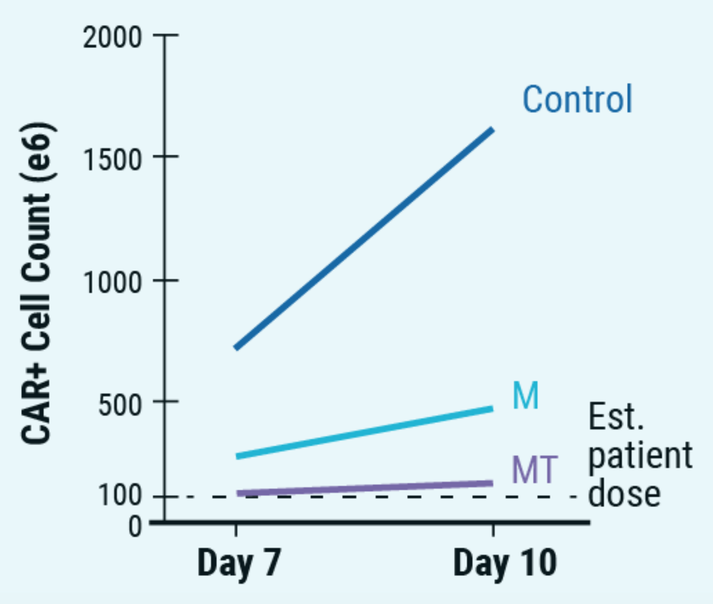 Line graph shows total number of CAR+ T cells (e6) up to 2000 on days 7 and 10 of manufacturing protocol. Dotted horizontal line at 100 CAR+ T cell count is estimated patient does of 1x108 cells. Three lines signify the control (dark blue line), M3814M DNA-PK inhibitor (M, light blue line), and M + histone deacetylase class I/II Inhibitor (MT, purple line). The control line goes from about 750 cell count at day 7 to over 1500 at day 10. M line (light blue) goes from about 250 to 500. MT is nearly aligned with estimated patient does line, going from 100 at day 7 to slightly over 100 at day 10.