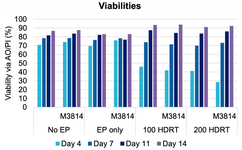 Bar graph of cell viability by percent (identified via acridine orange (AO) and propidium iodide (PI) stain) over four electroporation (EP) conditions — none, just EP, and EP with two concentrations of a CD19- CAR-CTS HDRT, 100 and 200. Four bars represent days of testing: day 4 is light blue, day 7 is dark blue, day 11 is navy, and day 4 is purple. Cell viability remained high (mostly between 70 and 90%) from day seven to day 14 in all conditions tested. Also noted on y axis: cells were also cultured with M3814 enhancer, with no effect on viability or TRAC efficiency.