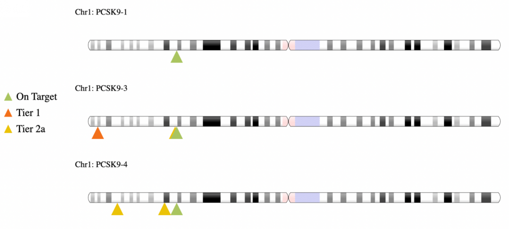 Candidate off-target loci from tier 1 and tier 2a (high cleavage frequency) on the same chromosome as the on-target locus for all guides (PCSK9-1, PCSK9-3, and PCSK9-4, from top to bottom) are shown here. On-target locus is depicted with a green arrow, tier 1 with an orange arrow, and tier 2a with a yellow one. Due to scaling, arrows indicating off-target sites very close in location may not be individually discernible.