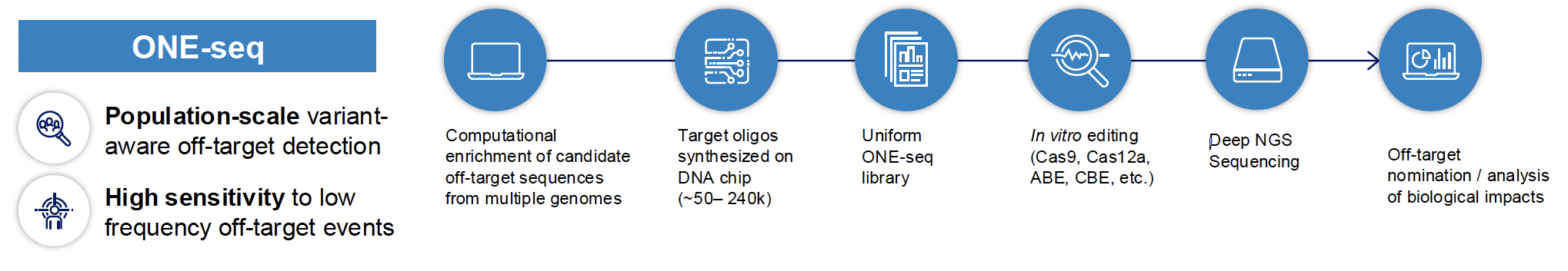 Graphic and text of ONE-seq workflow featuring a column of summary points (left) and a row of steps in the process (middle and right). Column: A magnifying glass showcases an illustration of people to signify ONE-seq’s population–scale variant-aware off-target detection. Beneath this is a figure with a target symbol surrounding them to indicate the assay’s high sensitivity to low-frequency off-target events. Row: A blank laptop screen indicates the assay’s computational enrichment of candidate off-target sequences from multiple genomes. Following this is a microchip icon, representing the DNA chip that synthesizes target oligos (~50-240k). Then is an illustration of documents with qualitative data to represent the uniform ONE-seq library. Following that is a magnifying glass with a zigzagging line of electricity through it, representing in vitro editing (Cas9, Cas12a, ABE, CBE, etc.). Next is an icon of a hard drive to signify the deep NGS sequencing, after which is a laptop screen with data on it, for the off-target nomination/analysis of biological impacts.