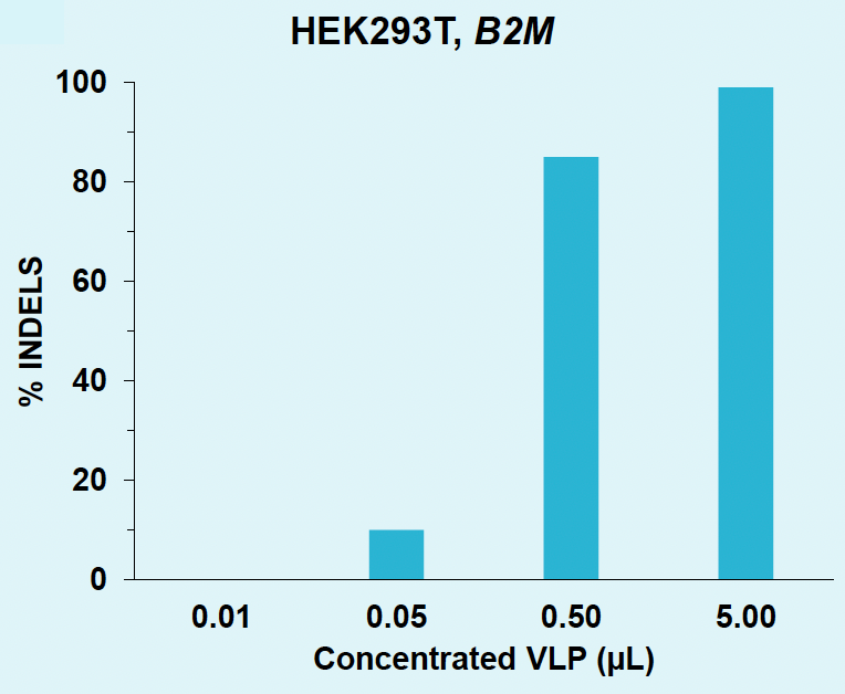 PO-Efficient-Large-Scale-Virus-Like-Particle-Manufacturing_fig4a